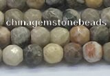 CAA3960 15.5 inches 4mm faceted round chrysanthemum agate beads