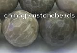 CAA3968 15.5 inches 20mm faceted round chrysanthemum agate beads