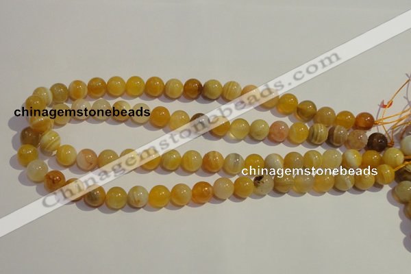CAA90 15.5 inches 12mm round botswana agate gemstone beads