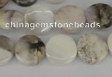 CAB100 15.5 inches 14mm coin natural brazil agate gemstone beads