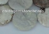 CAB103 15.5 inches 30mm flat round natural brazil agate beads