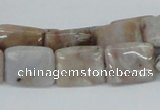 CAB110 15.5 inches 12*16mm rectangle natural brazil agate beads
