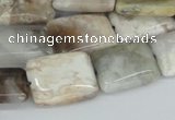 CAB111 15.5 inches 15*20mm rectangle natural brazil agate beads