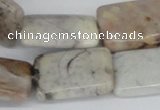 CAB112 15.5 inches 18*25mm rectangle natural brazil agate beads