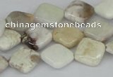 CAB121 15.5 inches 12*12mm diamond natural brazil agate beads