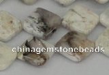 CAB122 15.5 inches 16*16mm diamond natural brazil agate beads