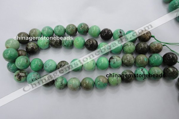 CAG1600 15.5 inches 16mm round green grass agate gemstone beads