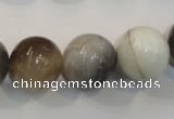 CAG2416 15.5 inches 16mm round Chinese botswana agate beads
