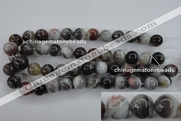 CAG3686 15.5 inches 16mm round botswana agate beads wholesale