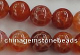 CAG5563 15.5 inches 10mm round natural fire agate beads wholesale
