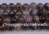 CAG5951 15.5 inches 6mm round botswana agate beads wholesale