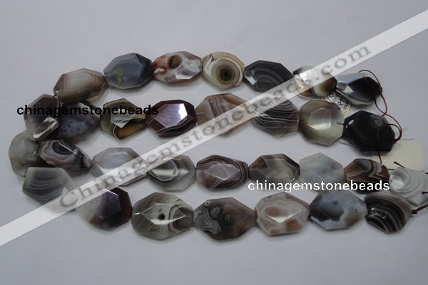 CAG761 15.5 inches 18*25mm faceted freeform botswana agate beads