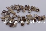 CAG9755 Top drilled 10*20mm - 16*50mm freeform ocean agate beads