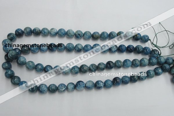 CAP204 15.5 inches 10mm round natural apatite gemstone beads