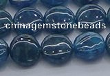 CAP381 15.5 inches 10mm flat round apatite gemstone beads