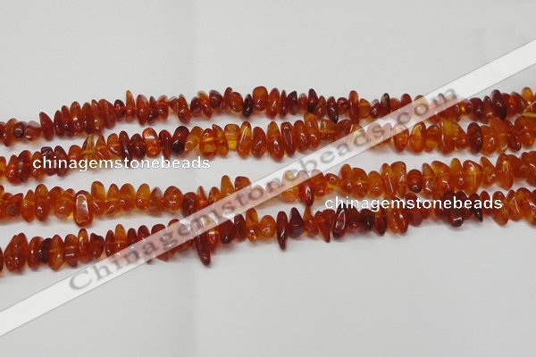 CAR116 16 inches 3*8mm - 4*10mm natural amber chips beads