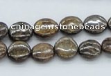 CBZ01 15.5 inches 12mm flat round bronzite gemstone beads wholesale