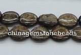 CBZ02 15.5 inches 14mm flat round bronzite gemstone beads wholesale