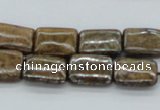 CBZ12 15.5 inches 12*16mm rectangle bronzite gemstone beads wholesale