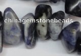 CCH300 34 inches 8*12mm sodalite chips gemstone beads wholesale