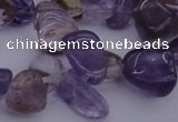 CCH614 15.5 inches 6*8mm - 10*14mm ametrine chips gemstone beads