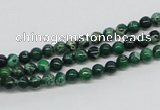 CDI68 16 inches 4mm round dyed imperial jasper beads wholesale