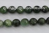 CDJ263 15.5 inches 10mm faceted round Canadian jade beads wholesale
