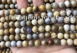 CFC322 15.5 inches 8mm round fossil coral beads wholesale