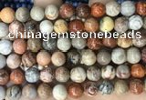 CFC343 15.5 inches 10mm round red fossil coral beads wholesale