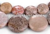 CFC53 15.5 inches flat round coral fossil jasper beads wholesale