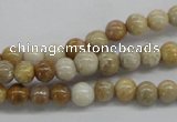 CFC60 15.5 inches 6mm round fossil coral beads wholesale