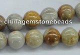CFC63 15.5 inches 12mm round fossil coral beads wholesale