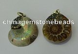 CGP271 25*30mm - 30*35mm ammonite pendants wholesale
