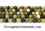 CHJ103 15 inches 10mm round honeybee jasper beads