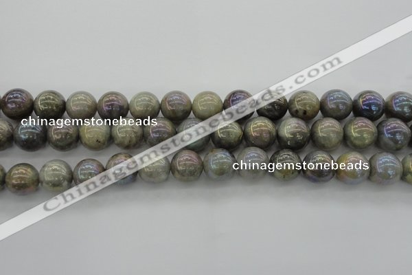 CLB606 15.5 inches 16mm round AB-color labradorite beads