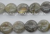 CLB73 15.5 inches 14mm flat round labradorite beads wholesale