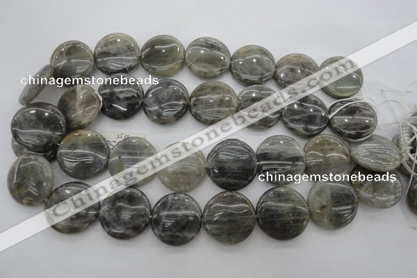 CLB78 15.5 inches 25mm flat round labradorite beads wholesale