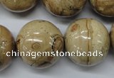 CLD53 15.5 inches 25mm round African leopard skin jasper beads