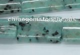 CLJ08 15.5 inches 22*32mm rectangle sesame jasper beads wholesale