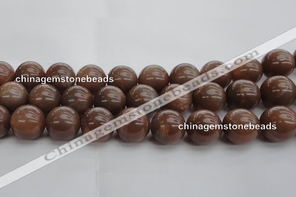 CMS1028 15.5 inches 20mm round AA grade moonstone gemstone beads