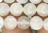 CMS1462 15.5 inches 8mm round white moonstone beads wholesale