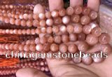 CMS1482 15.5 inches 4mm - 12mm round golden moonstone graduated beads