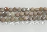 CMS1789 15.5 inches 10mm faceted coin AB-color moonstone beads