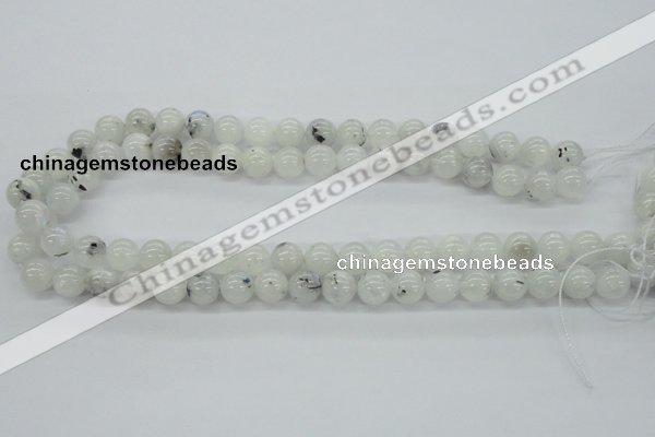CMS204 15.5 inches 10mm round moonstone gemstone beads wholesale