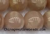 CMS2114 15 inches 11mm round moonstone beads