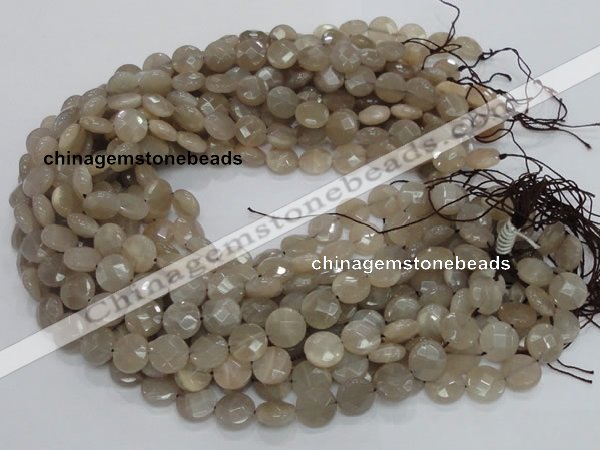 CMS44 15.5 inches 10mm faceted coin moonstone gemstone beads