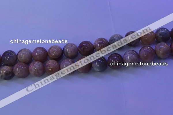 CMS507 15.5 inches 16mm round moonstone beads wholesale