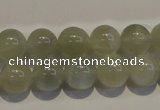 CMS653 15.5 inches 10mm round grey moonstone beads wholesale