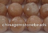 CMS945 15.5 inches 14mm faceted round A grade moonstone gemstone beads