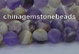 CNA1051 15.5 inches 6mm round matte dogtooth amethyst beads